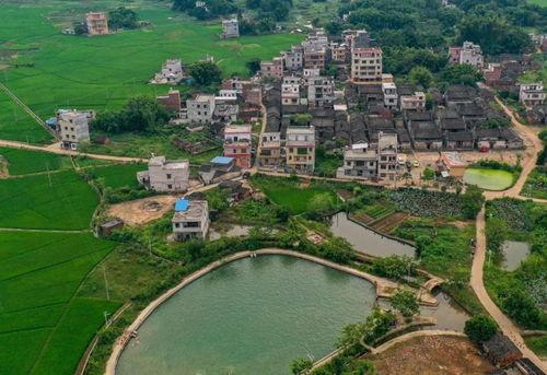 封开南丰镇新闻爆料,聚焦民生热点，共话发展新篇